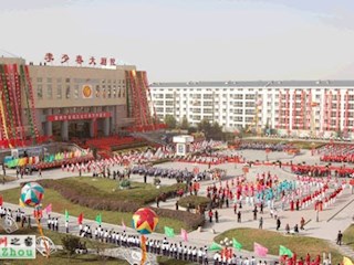霸州市首届文化艺术节开幕式