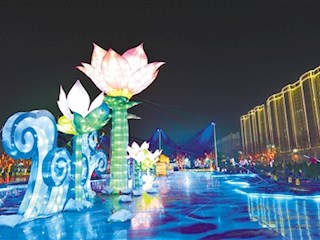 “荷花”点亮霸州市民广场