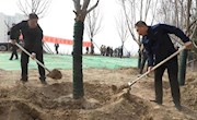 我市组织开展2019年春季义务植树活动