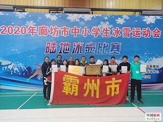 我市运动健儿在廊坊市陆地冰壶比赛中斩获佳绩
