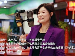 河北霸州：民营经济触网升级添活力