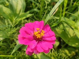 影像记录丨河北廊坊霸州：百花争艳 花开信安（九）