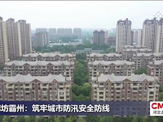 廊坊霸州：筑牢城市防汛安全防线