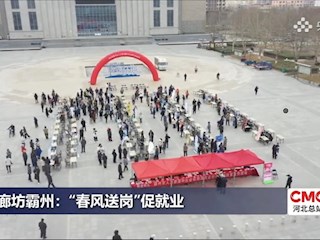 廊坊霸州：“春风送岗”促就业