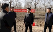 市四套班子领导参加义务植树活动