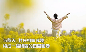 廊坊霸州：油菜花开引客来 春风吹暖“花经济”