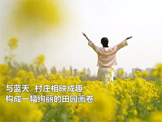廊坊霸州：油菜花开引客来 春风吹暖“花经济”