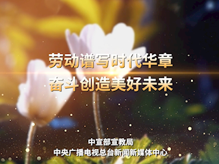 感人瞬间微视频——劳动者的双手
