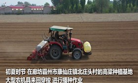廊坊霸州发展特色农业促进乡村振兴