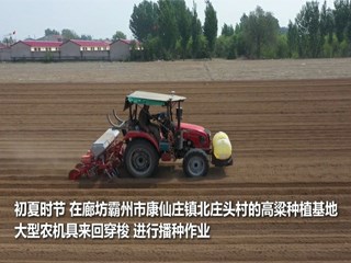 廊坊霸州发展特色农业促进乡村振兴
