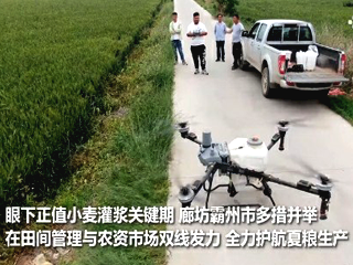 廊坊霸州：多举措护航夏粮生产